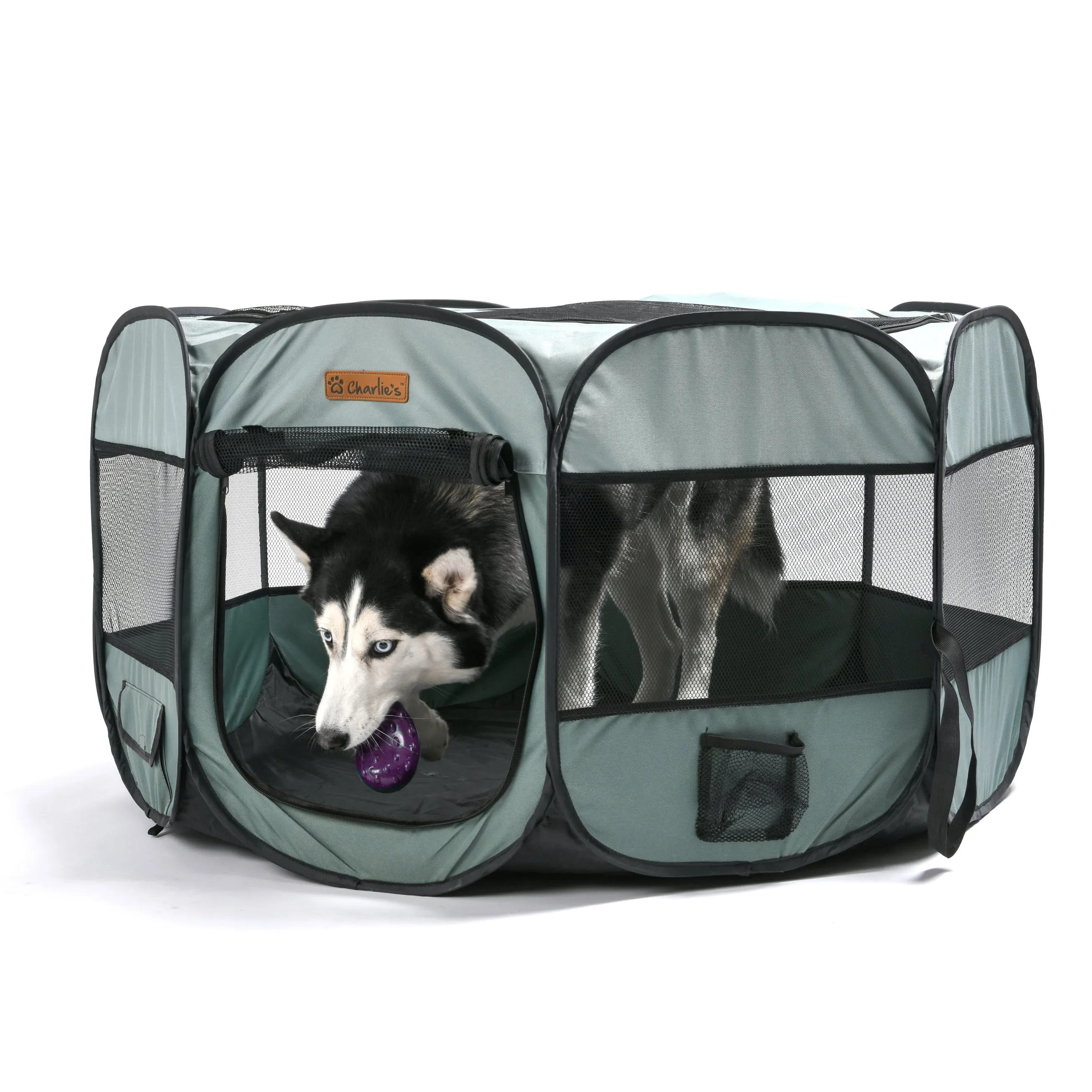 Adventure Pet Playpen Foldable Portable Crate Sage