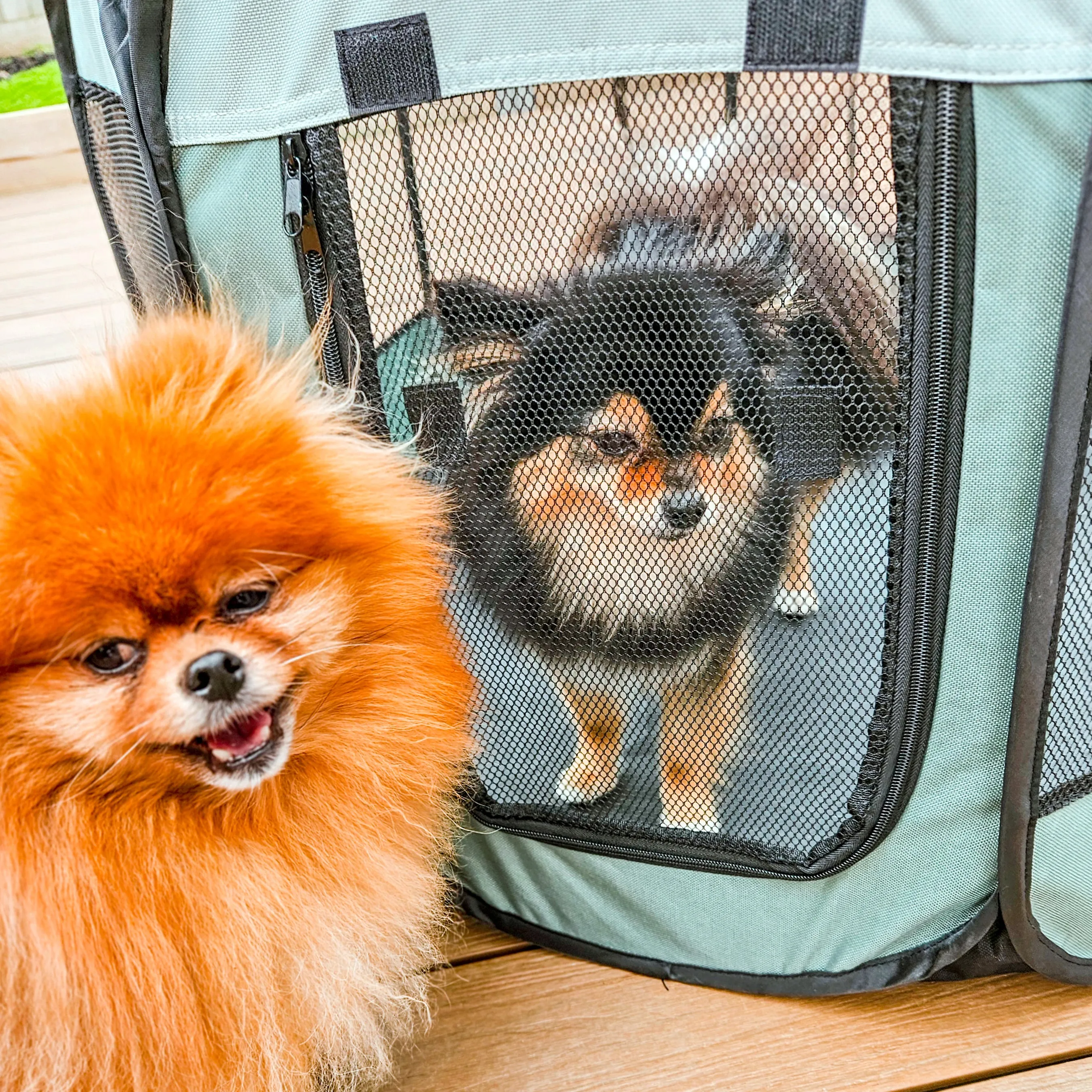 Adventure Pet Playpen Foldable Portable Crate Sage