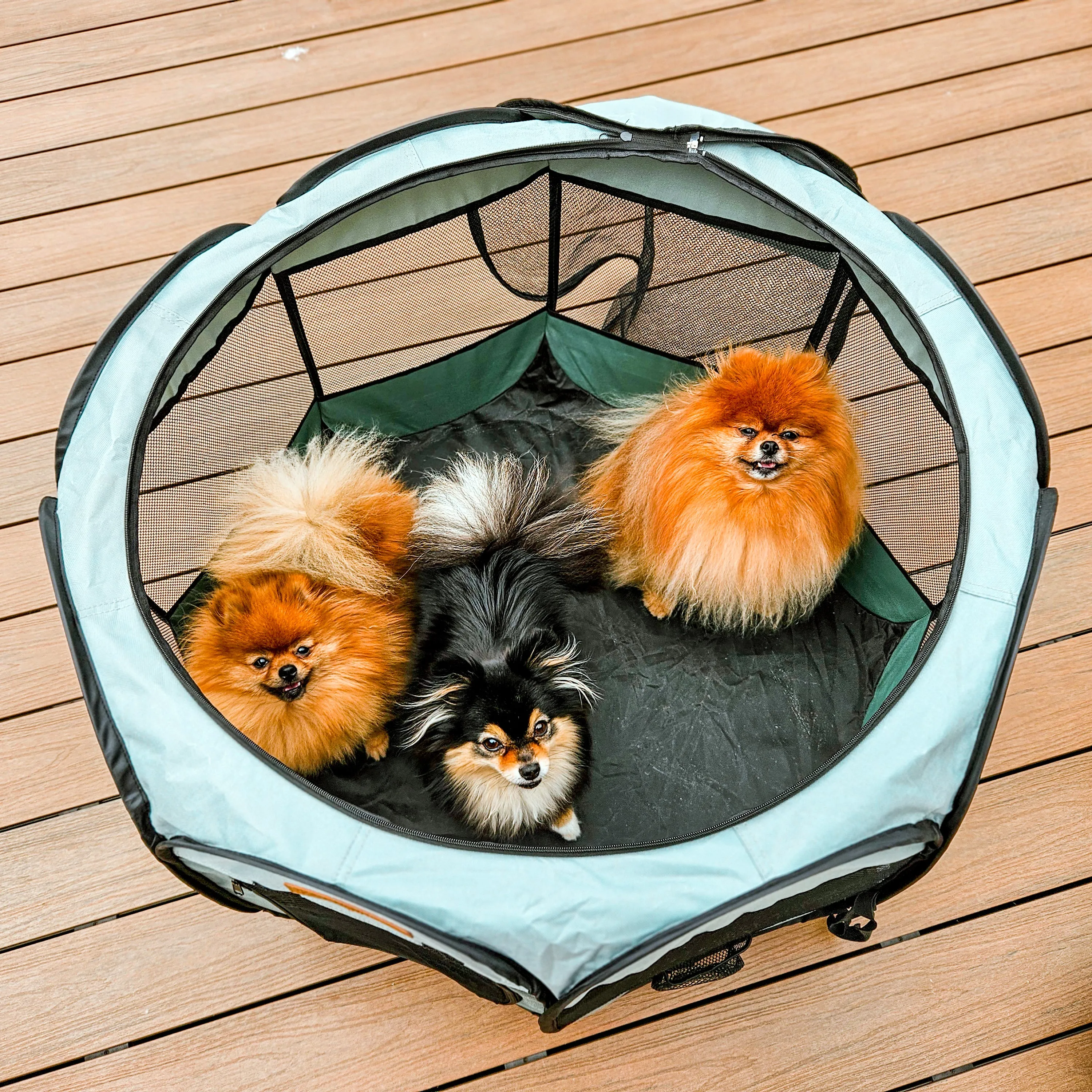 Adventure Pet Playpen Foldable Portable Crate Sage
