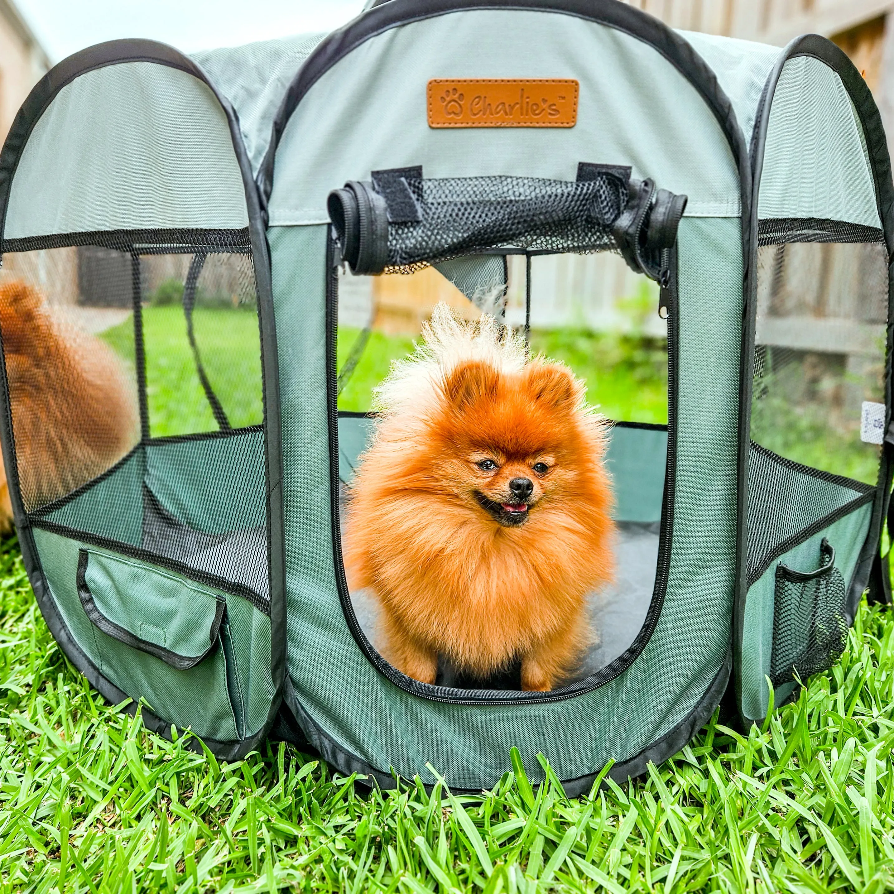 Adventure Pet Playpen Foldable Portable Crate Sage