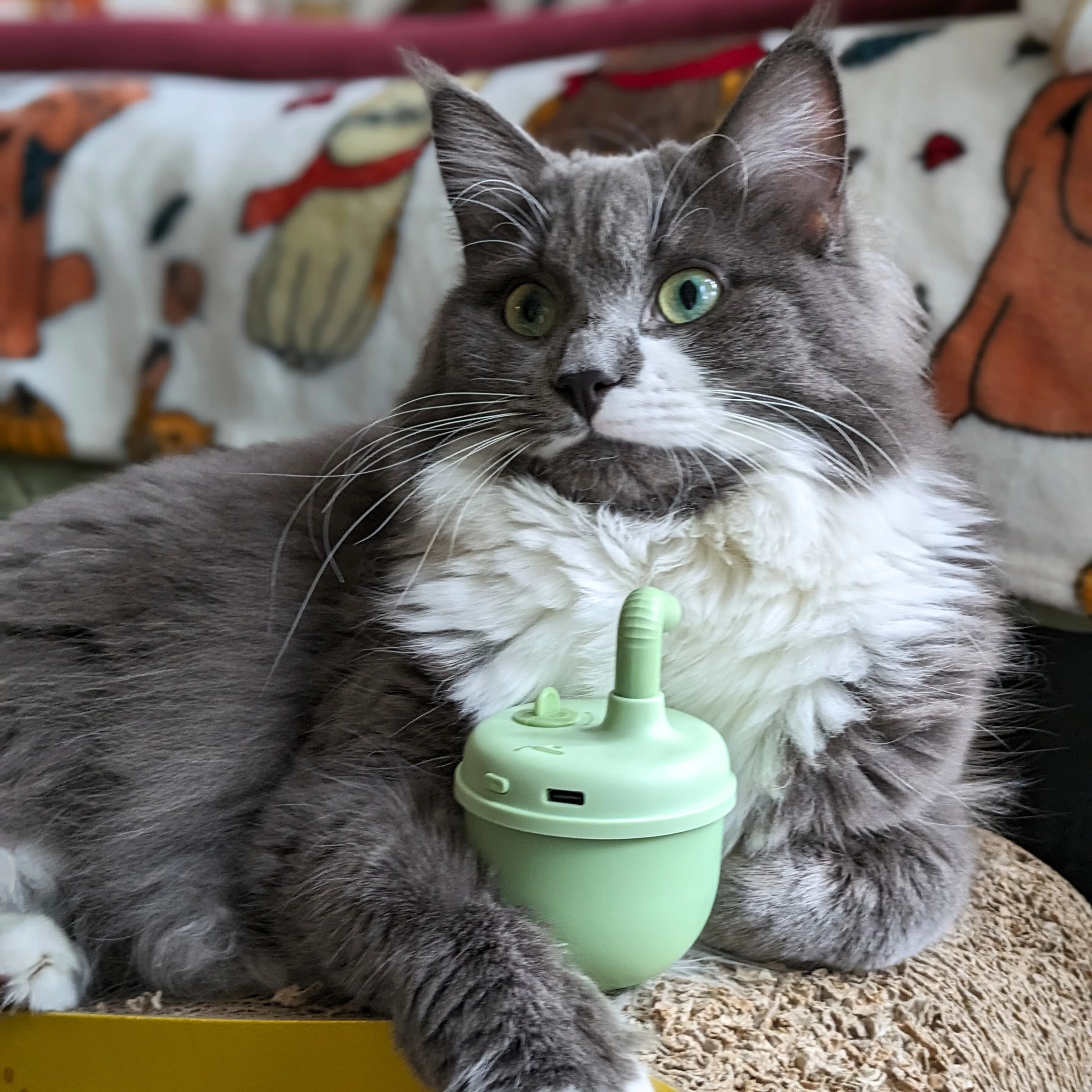 Bubble Laser Cat Toy