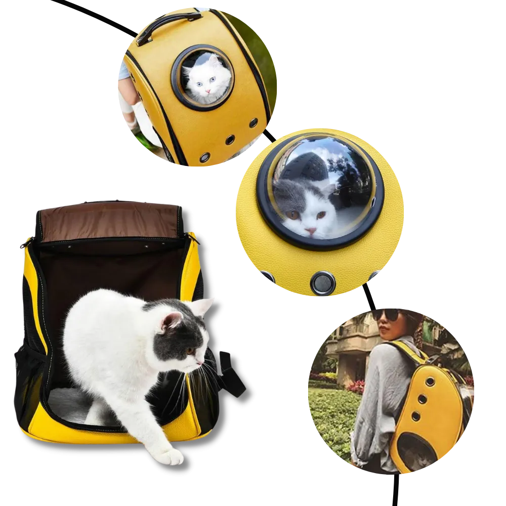 Cat Travel Backpack