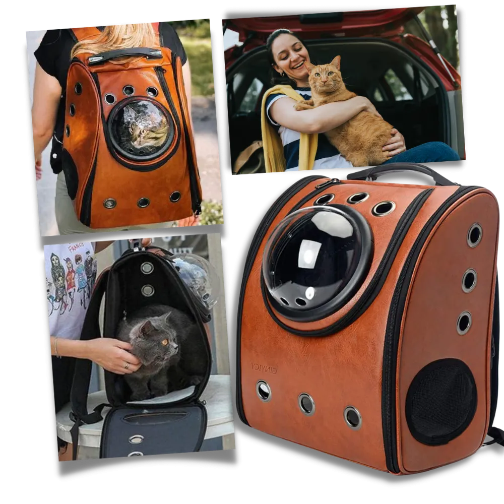 Cat Travel Backpack