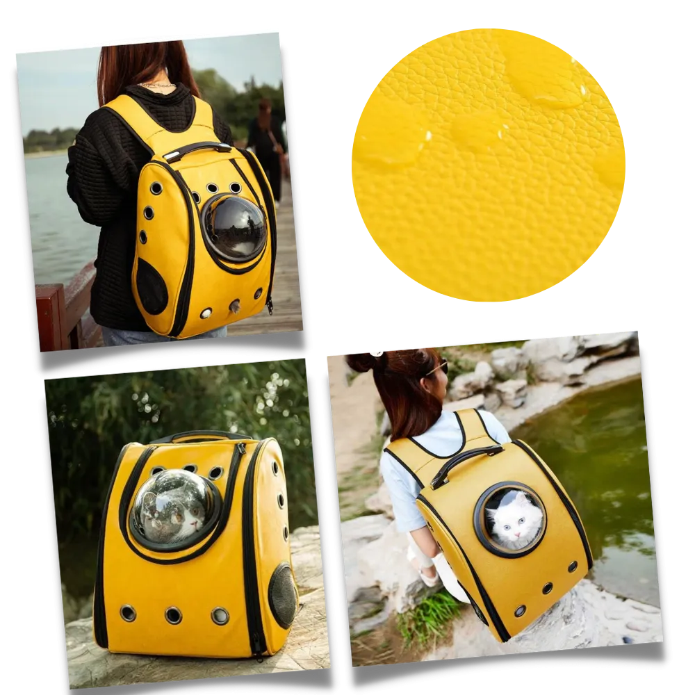 Cat Travel Backpack