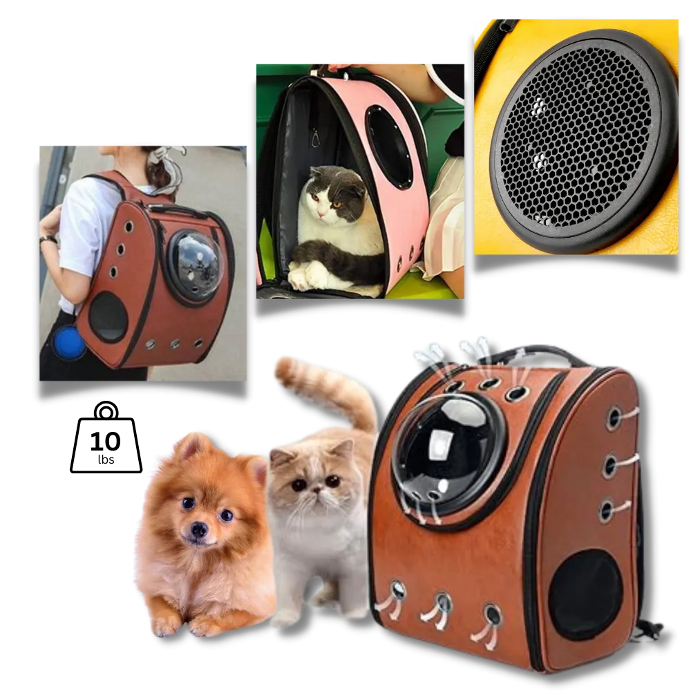Cat Travel Backpack