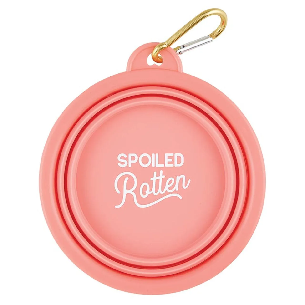Collapsible Travel Dog Bowl