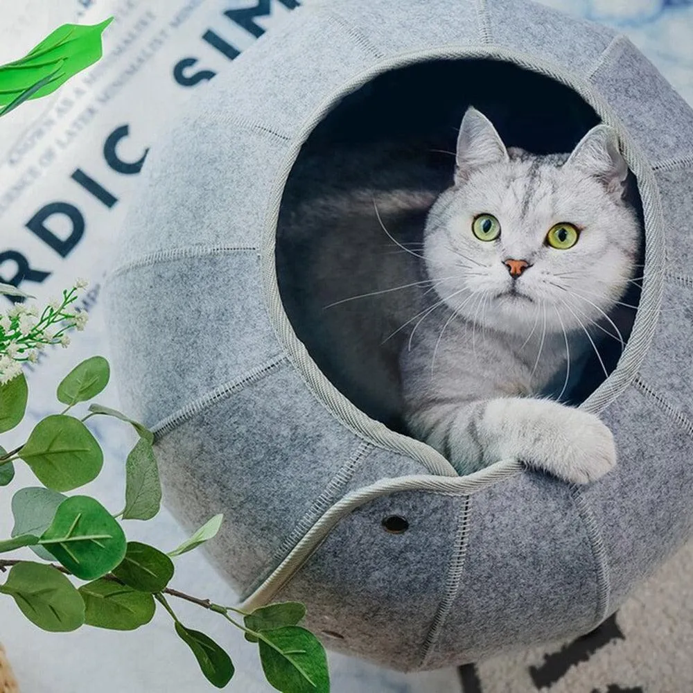 Cozy Conch Cat Sanctuary & Multi-Functional Play Tunnel: The Perfect Retreat for Your Feline Friend