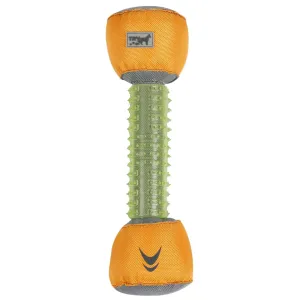Floating Dental Dog Toy Playtime