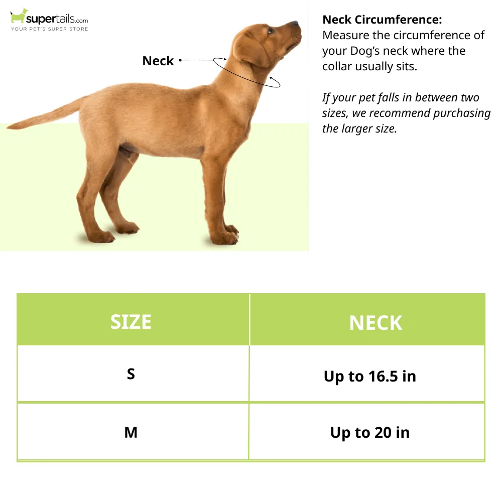 Fofos Cute Duck Bib for Dogs and Cats
