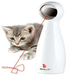 FroliCat Bolt