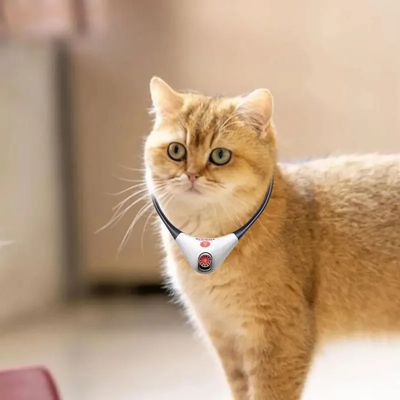 Interactive Pet Laser Toy Adjustable Wearable Electric Cat Laser Collar-USB Rechargeable