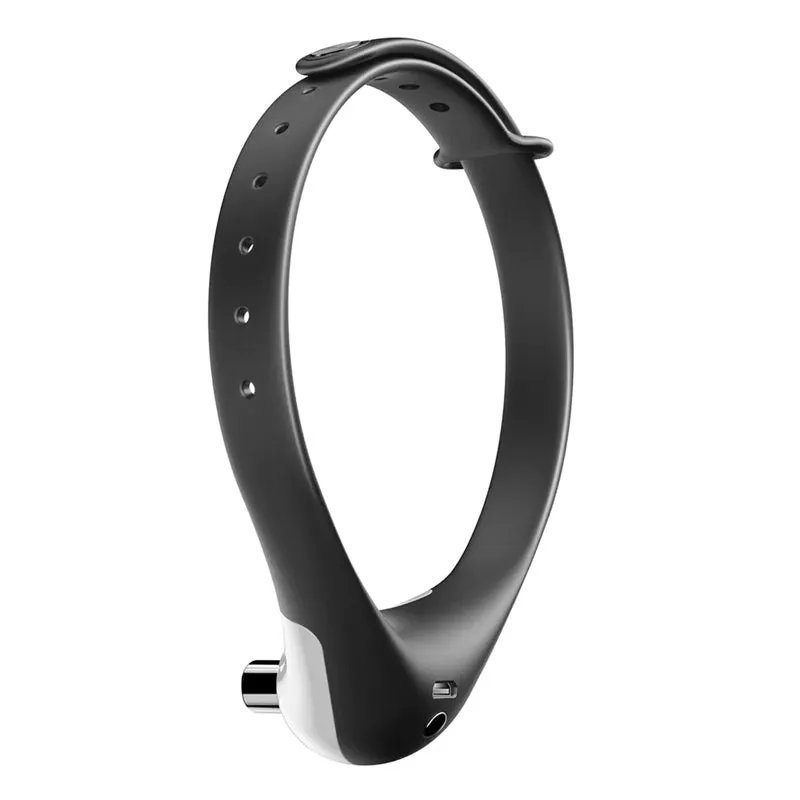 Interactive Pet Laser Toy Adjustable Wearable Electric Cat Laser Collar-USB Rechargeable