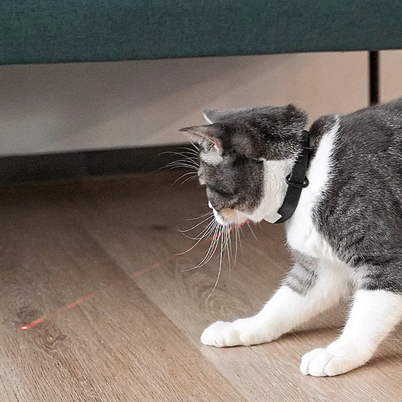 Interactive Pet Laser Toy Adjustable Wearable Electric Cat Laser Collar-USB Rechargeable