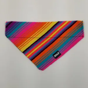 MEDIUM FIESTA SARAPE DOG BANDANA. 180