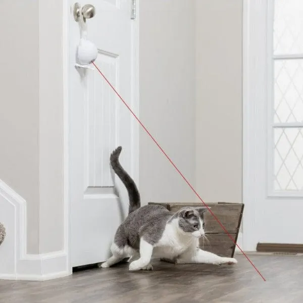 PetSafe Dancing Dot Laser Cat Toy