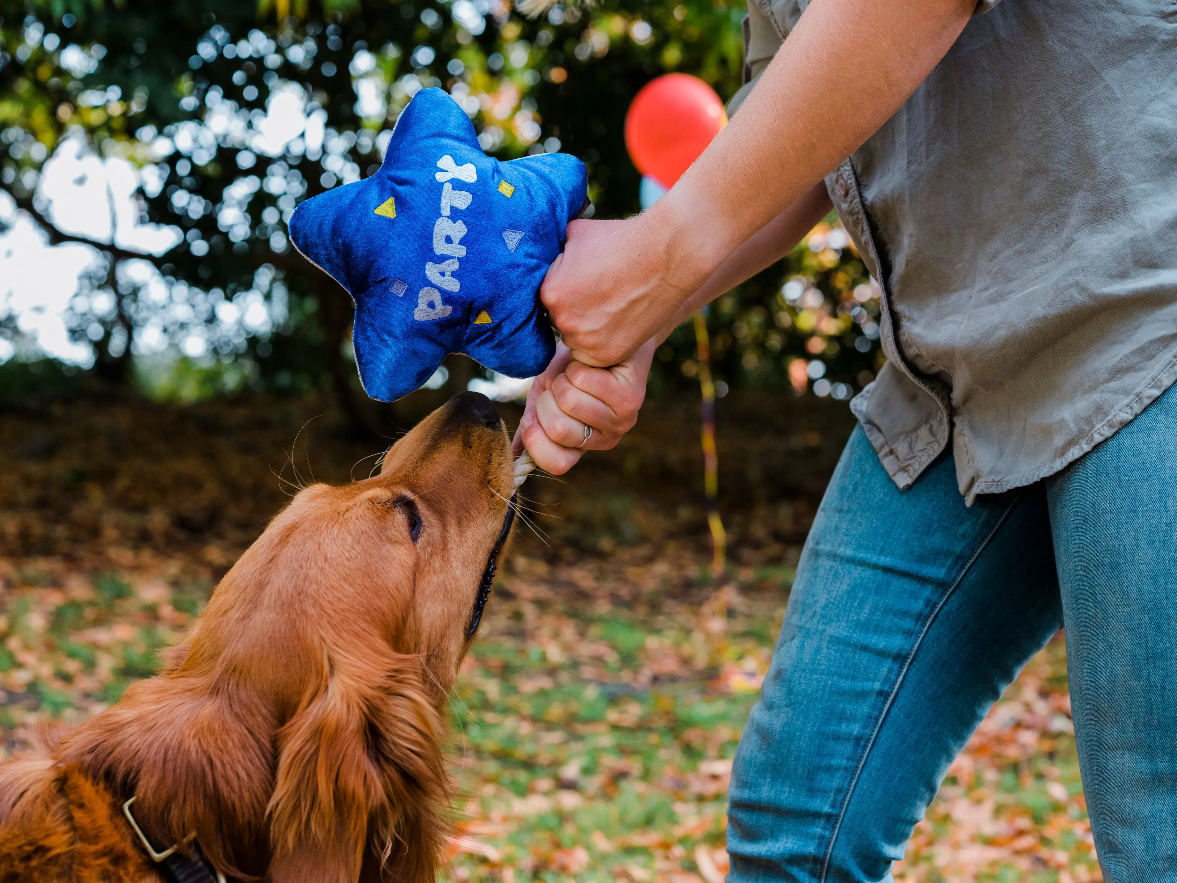 P.L.A.Y. Party Time Plush Dog toys, Best Day Ever Balloon