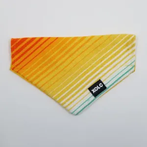 SMALL RETRO SARAPE DOG BANDANA 274