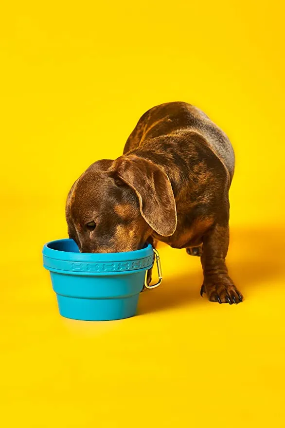 Wild & Woofy Durable Silicone Collapsible Travel Food & Water Bowl